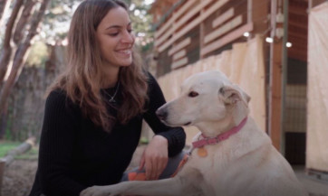 כלביית הדסה-נעורים מציגה: איך לדבר עם הכלב שלכם בקלות